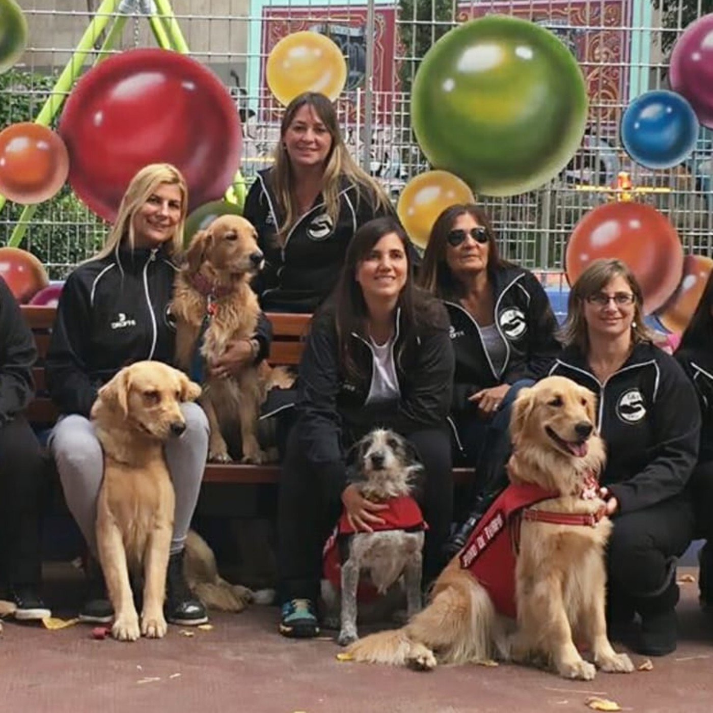 programayolotransformo