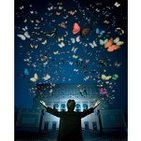 Colección de mariposas (Música desde Ítaca)