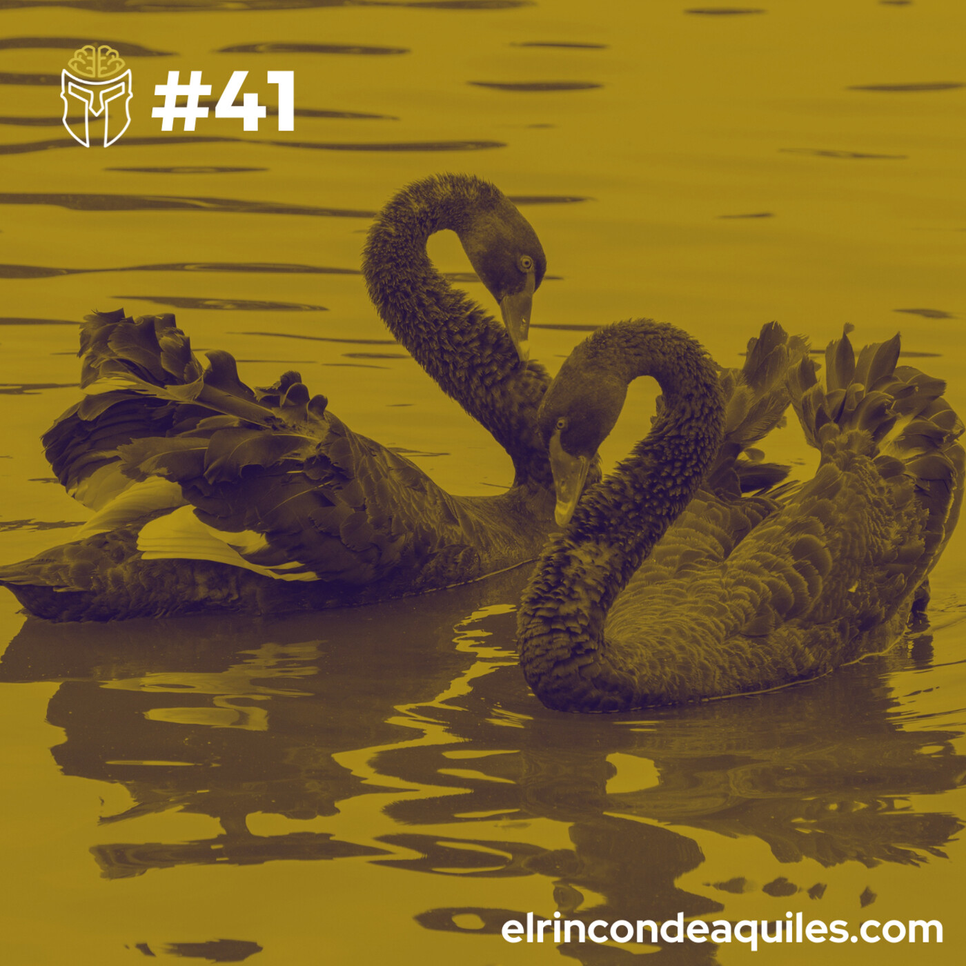 #41 Cisnes Negros: Cómo puede cambiarte la vida un suceso inesperado - podcast episode cover