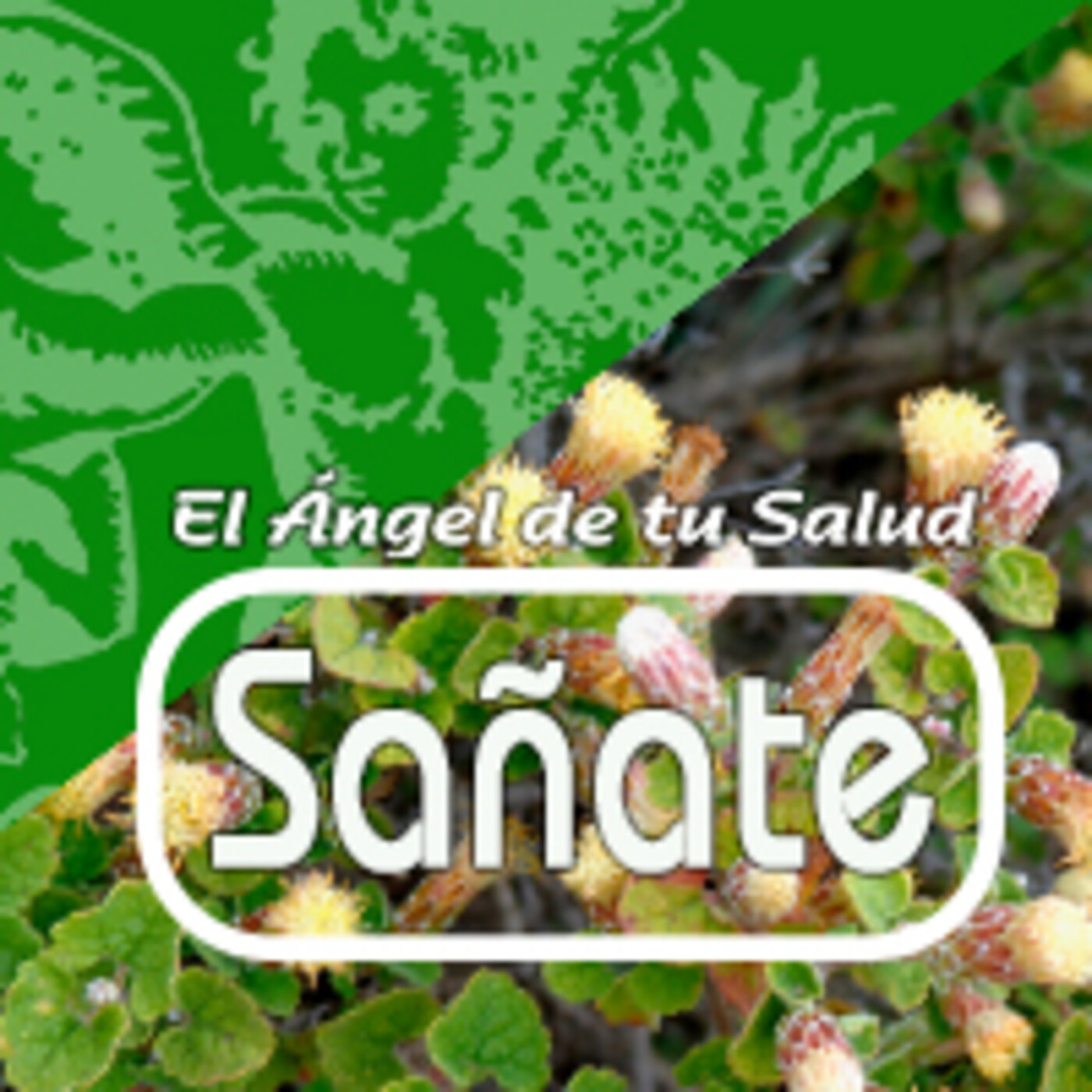 El Ángel De Tu Salud SaÑate 4013