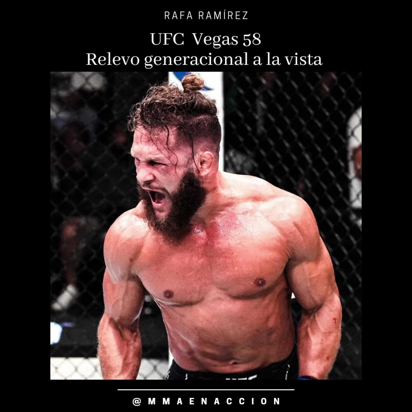 MMA en acción