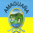 Preguntas Rendición de Cuentas Amaguaña