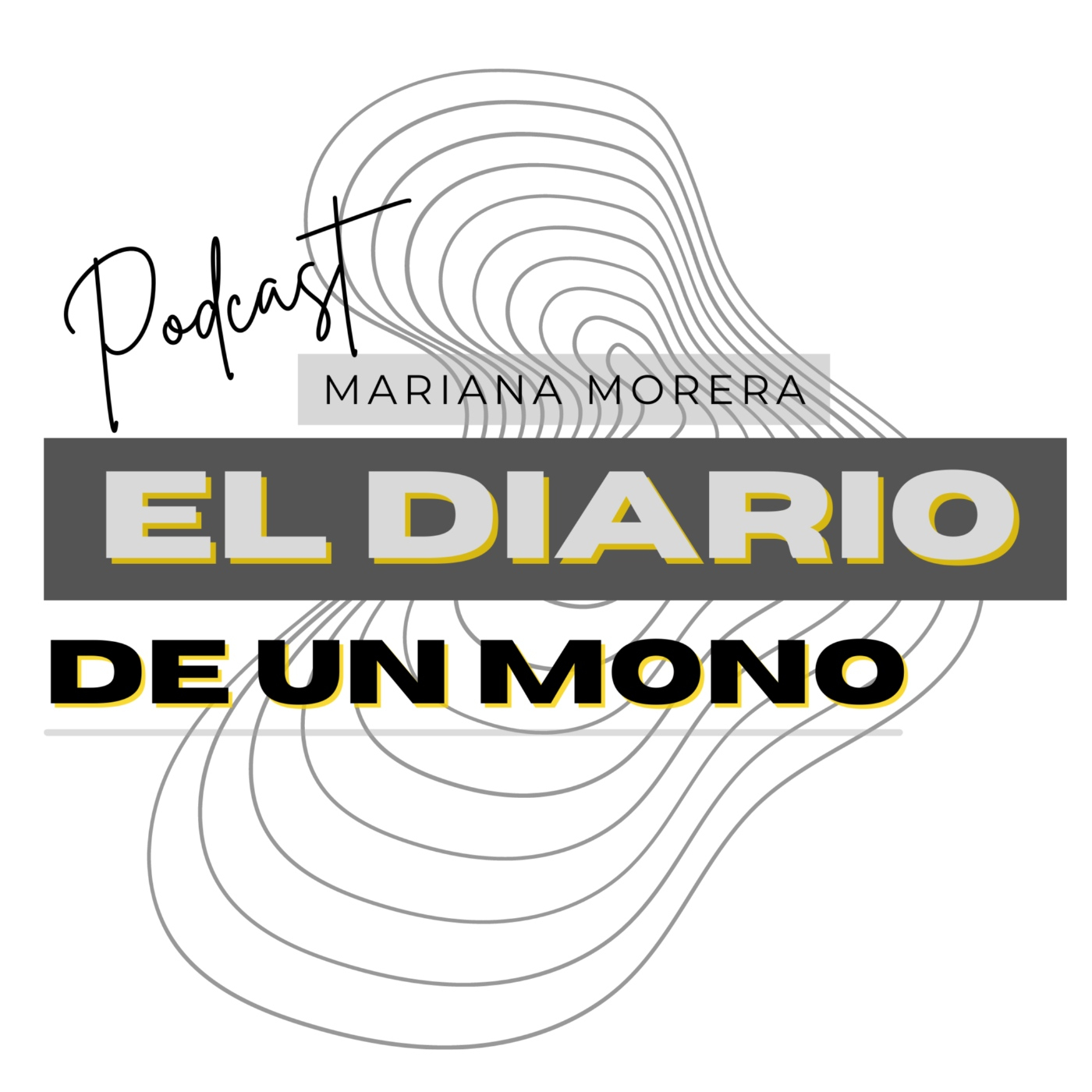 El Diario de un artista