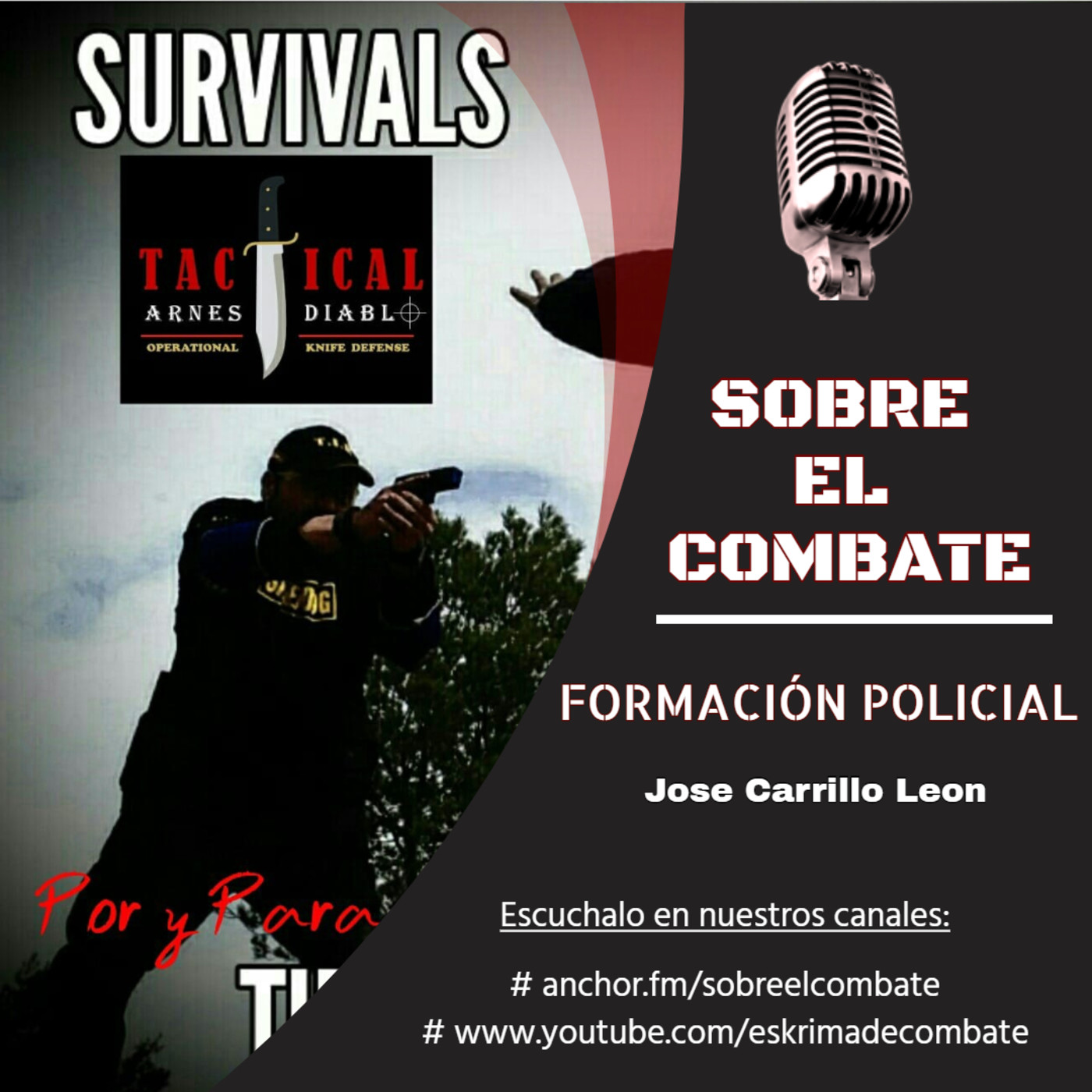 SOBRE EL COMBATE