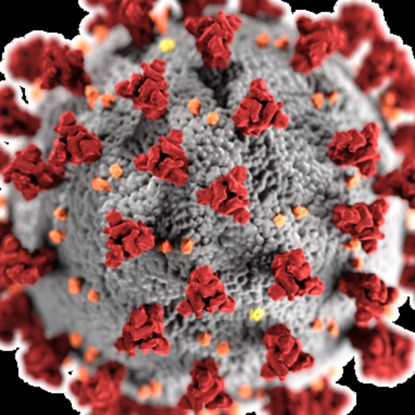 EVIDENCIAS CIENTÍFICAS SOBRE COVID-19 E INFANCIA