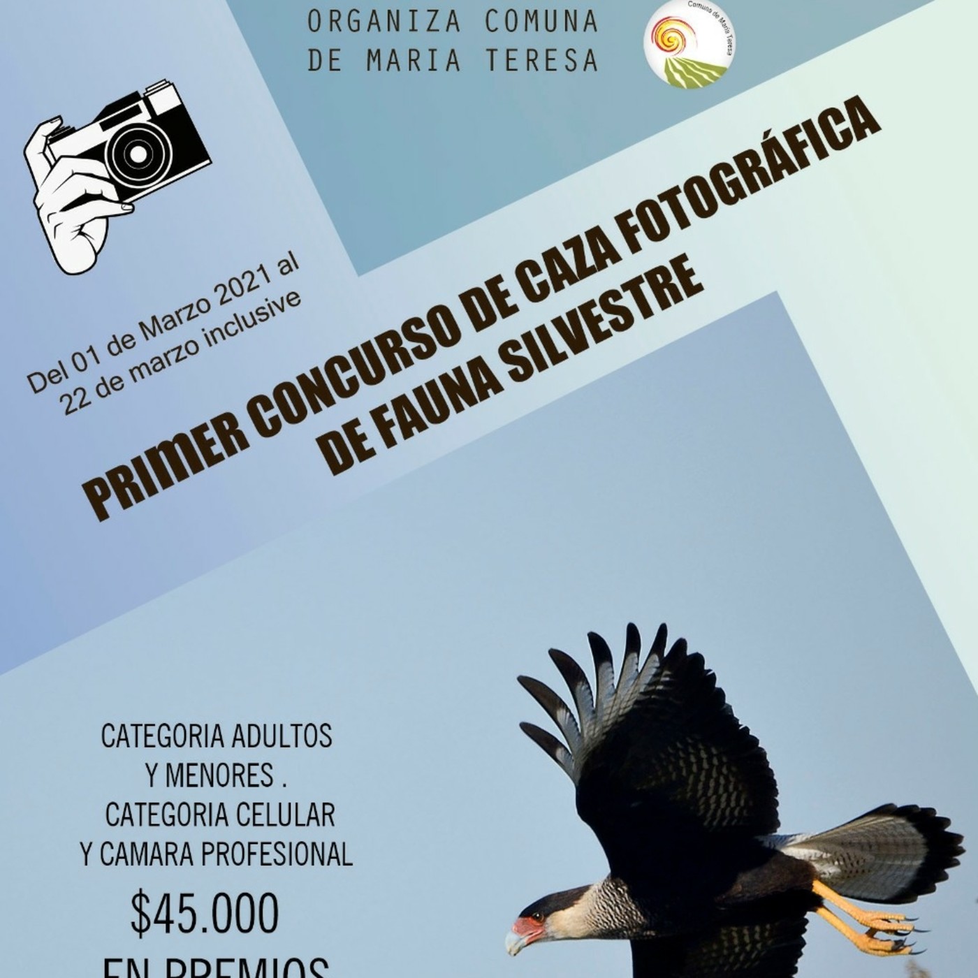 Notas  de Fm Sonic - RLM432