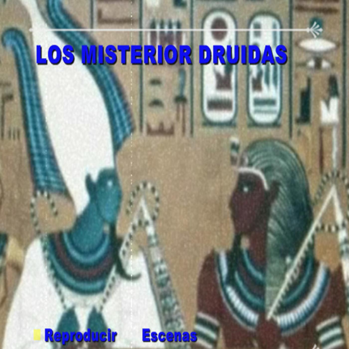 LOS DRUIDAS - IGA España