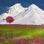 Meditación Raja Yoga: "Determinación" - Brahma Kumaris