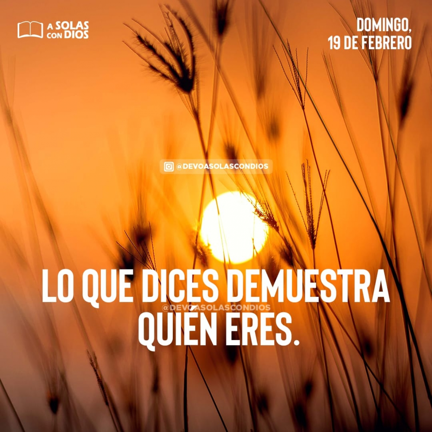 A Solas con Dios