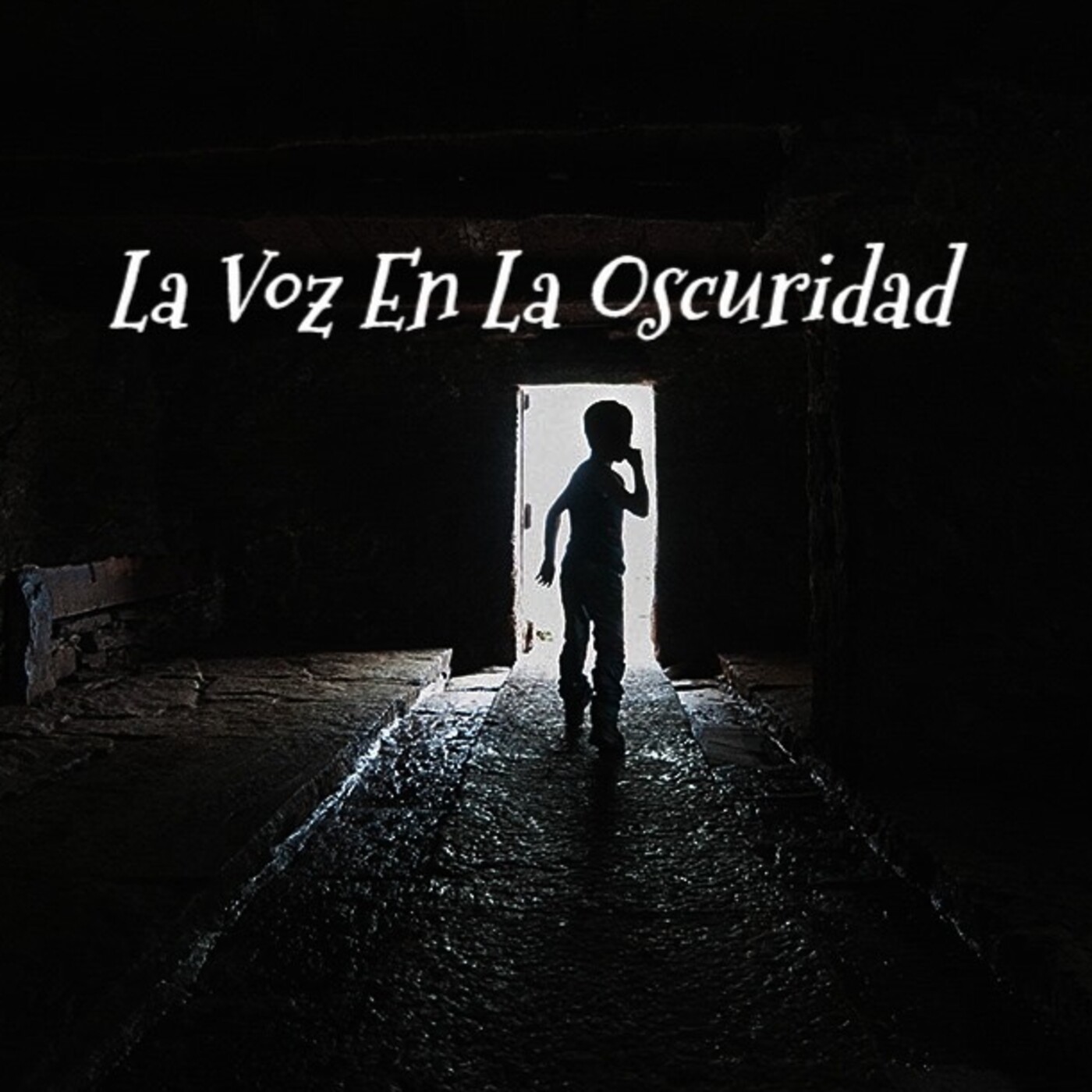 La Voz en la Oscuridad