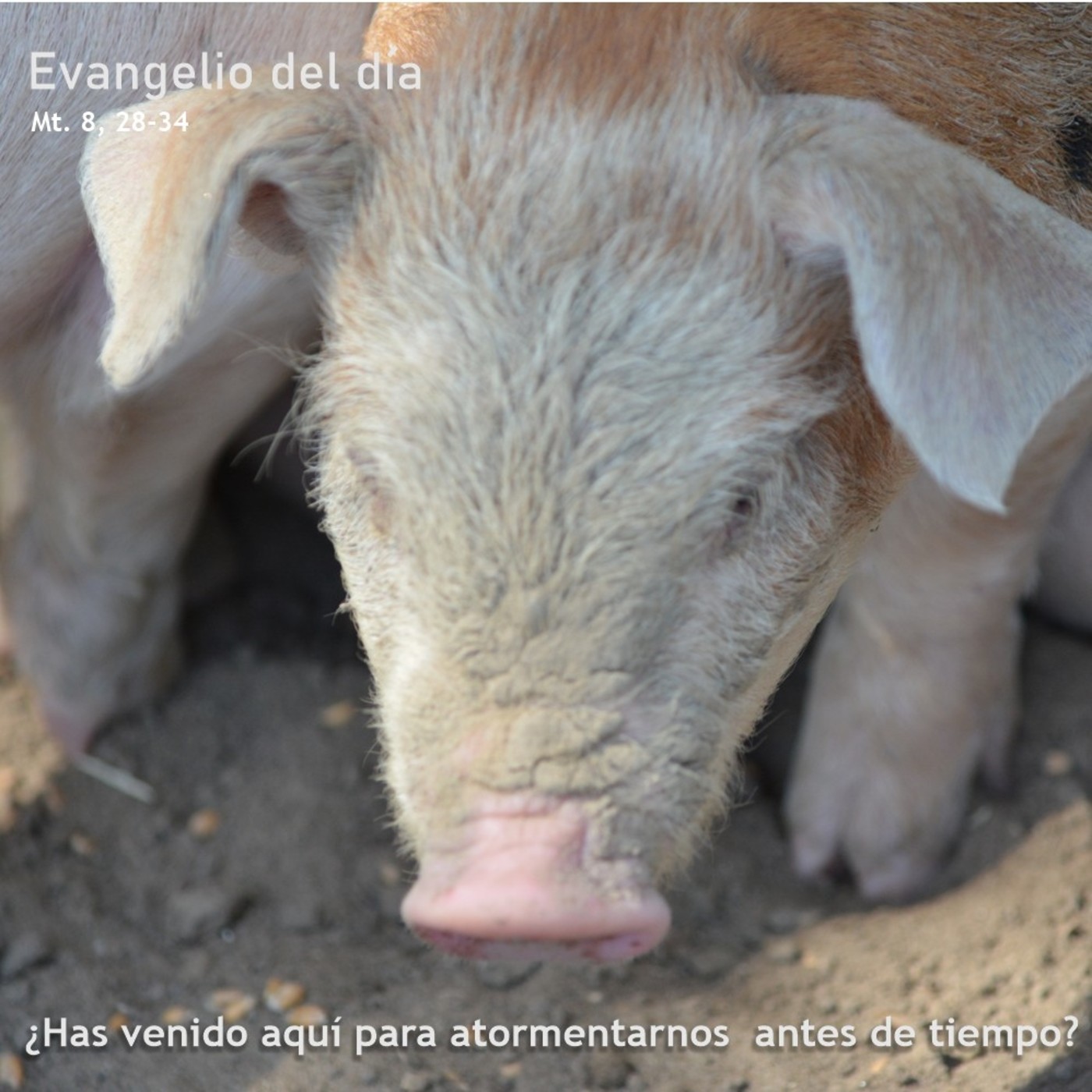 1 de julio de 2020