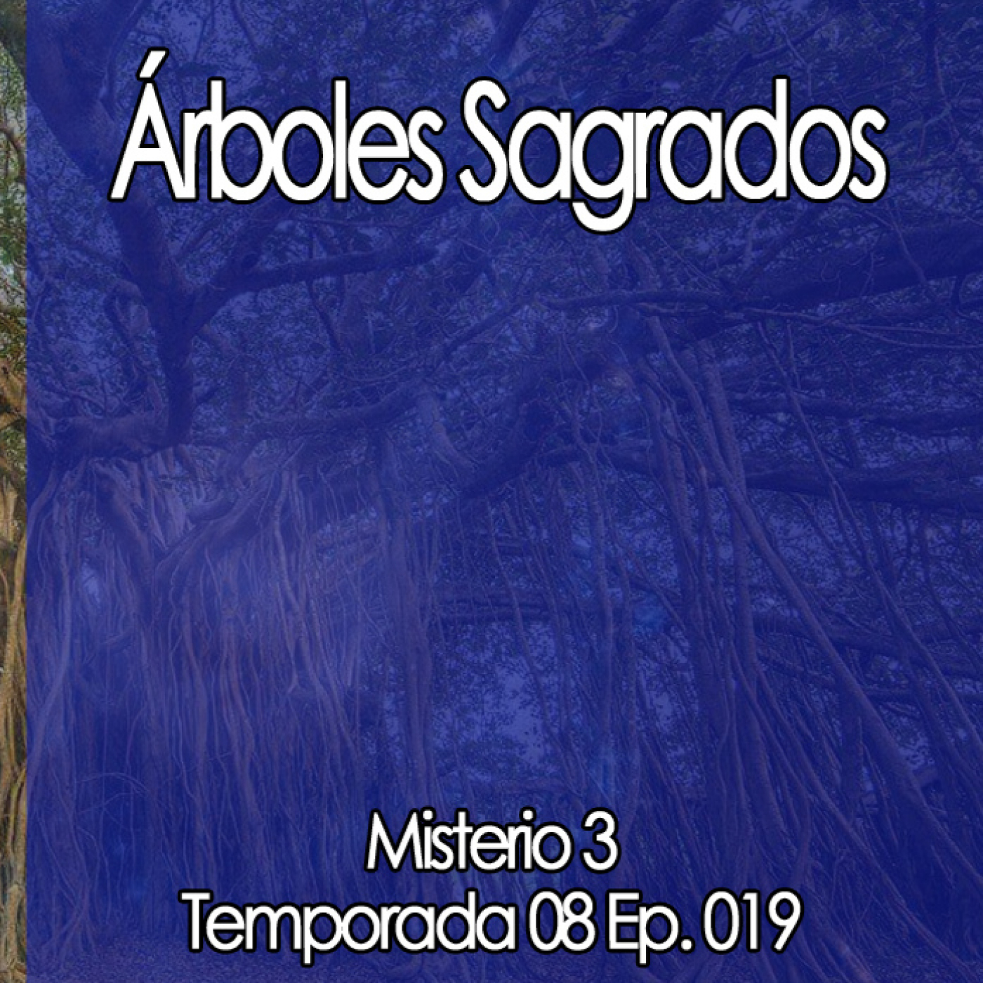 Misterio3 Árboles Sagrados episode artwork