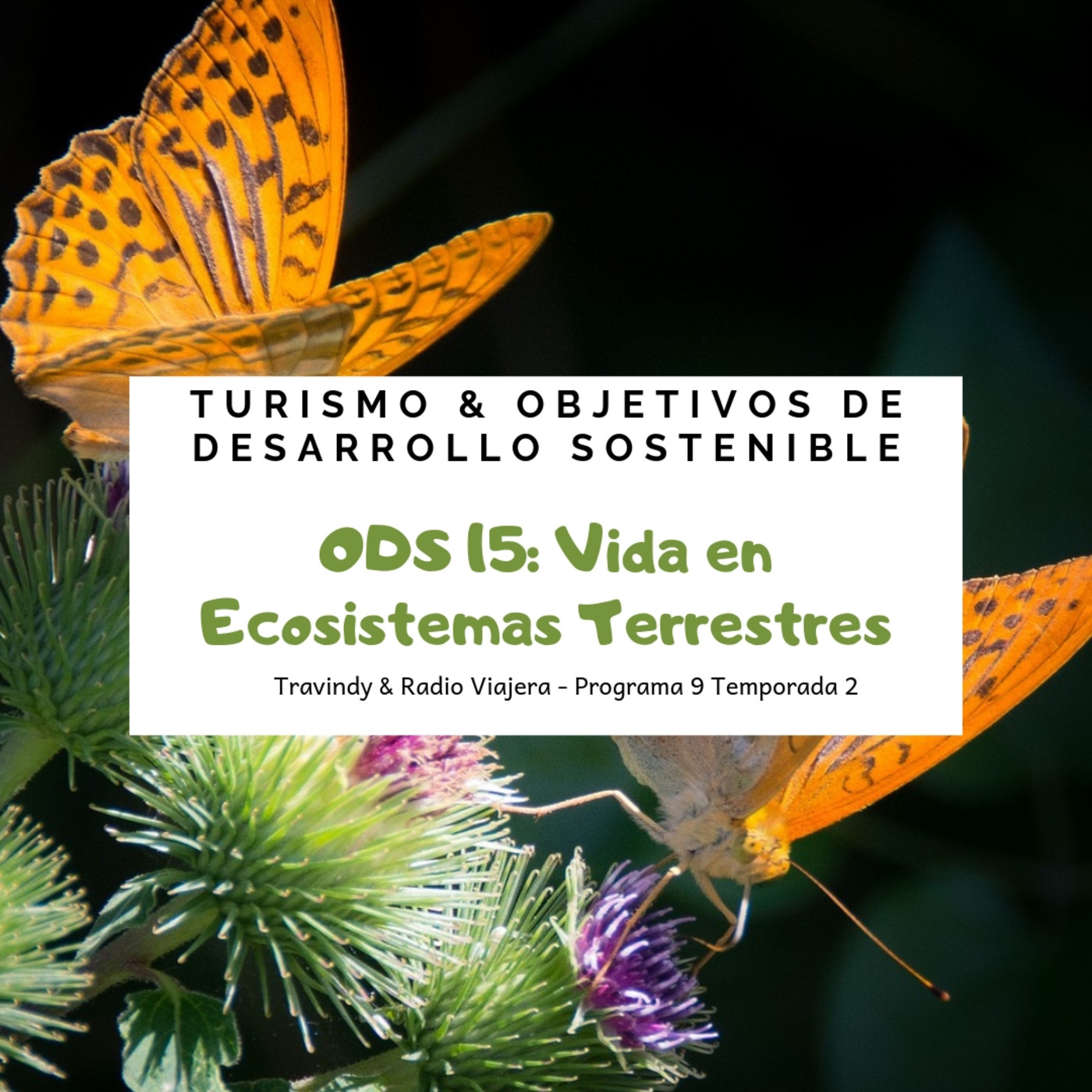 Turismo sostenible 2x09 - Turismo y Objetivos de Desarrollo Sostenible: ODS15 Vida en Ecosistemas Terrestres