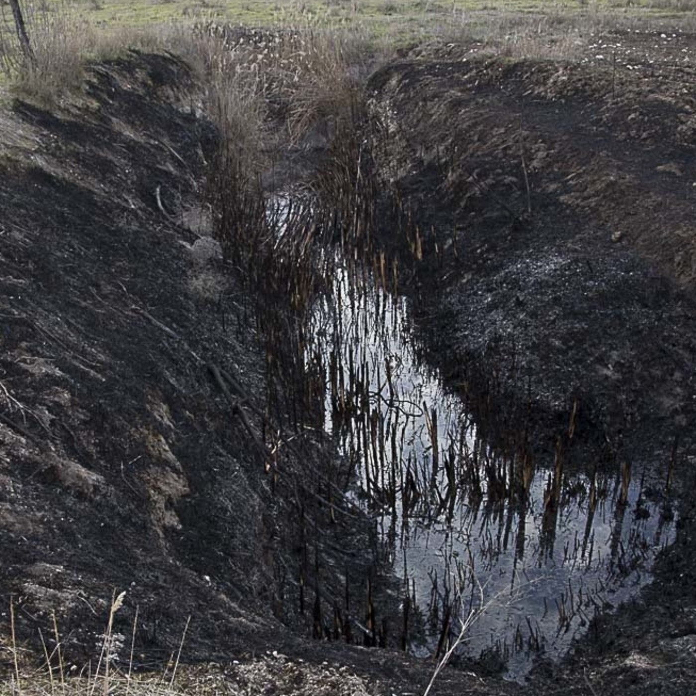 Piloto: Informativo Medio Ambiental de Castilla-La