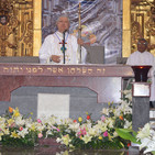embed image