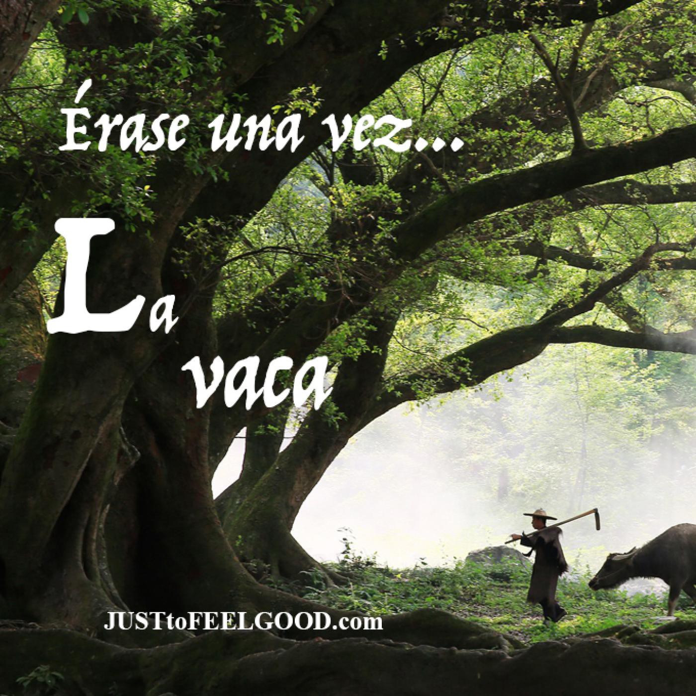 FEEL GOOD, by Estany Loriente