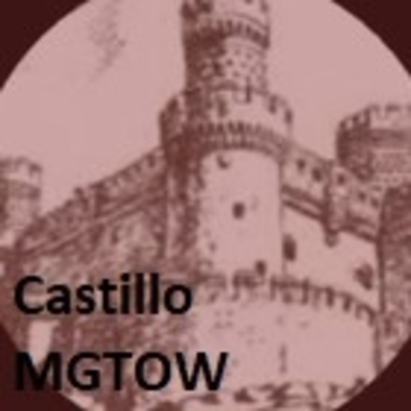 MGTOW ESPAñOL Ley Briffault Obstinator Ob Utopian