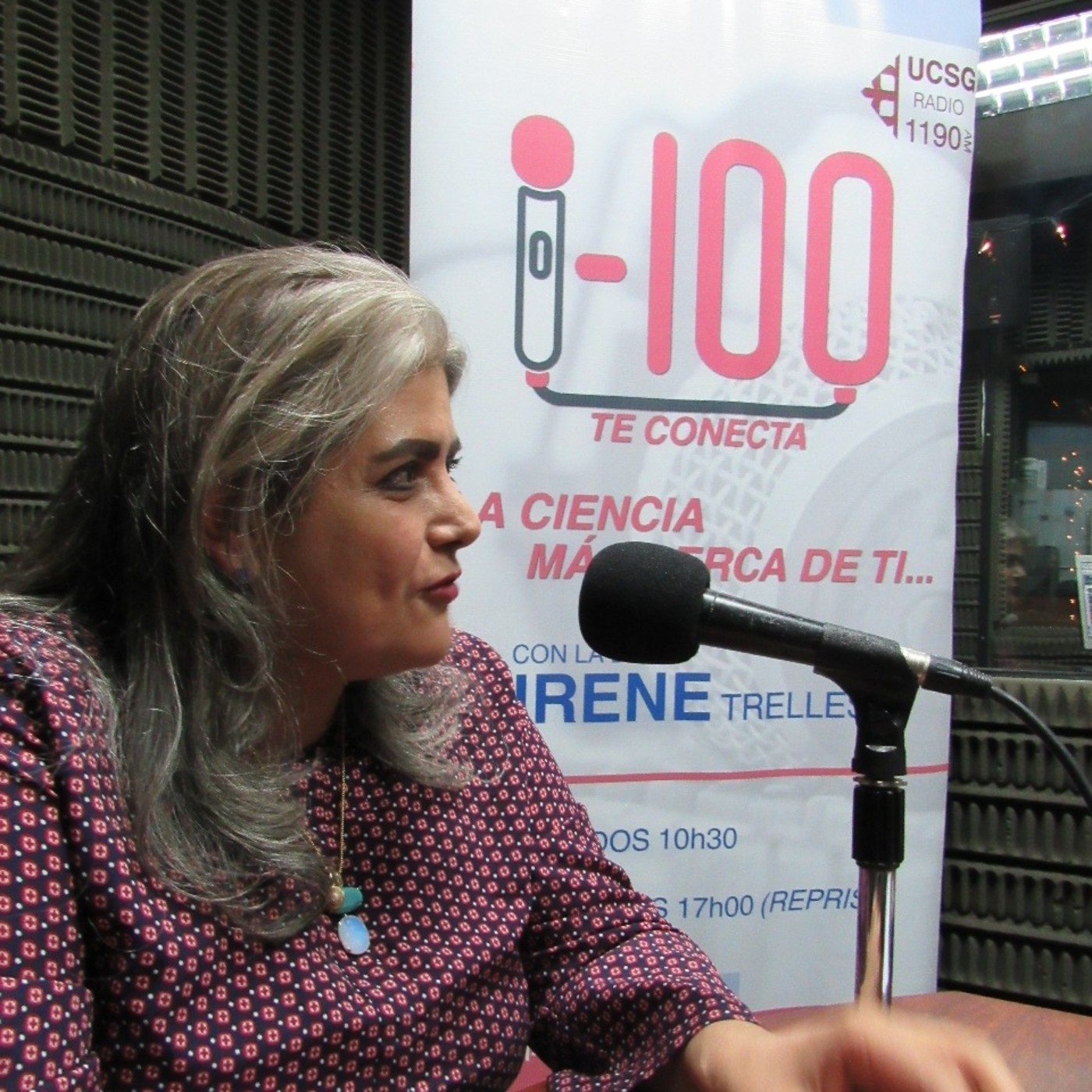 I-100UCSG