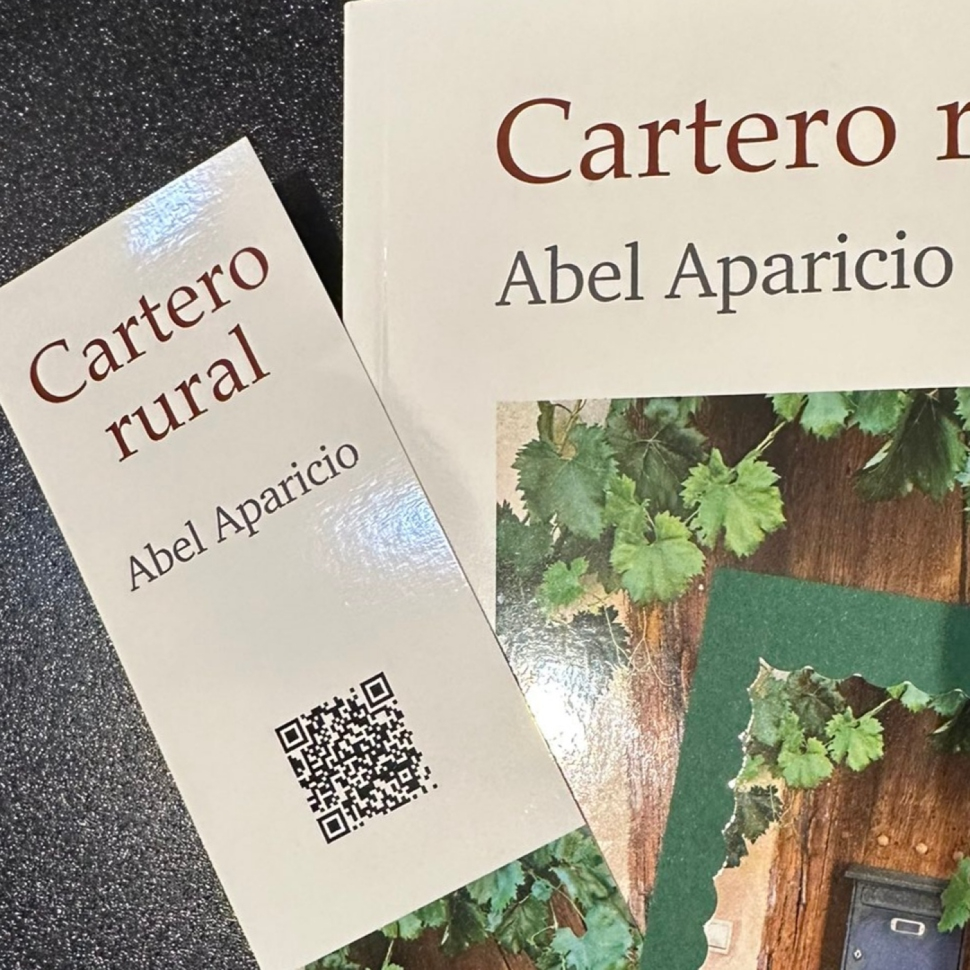 Abel Aparicio presenta su tercer poemario 'El Cartero Rural' episode artwork