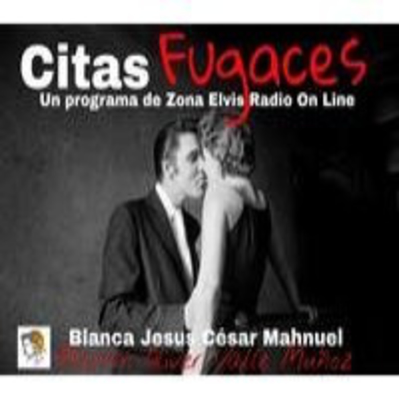 Los especiales de Zona Elvis