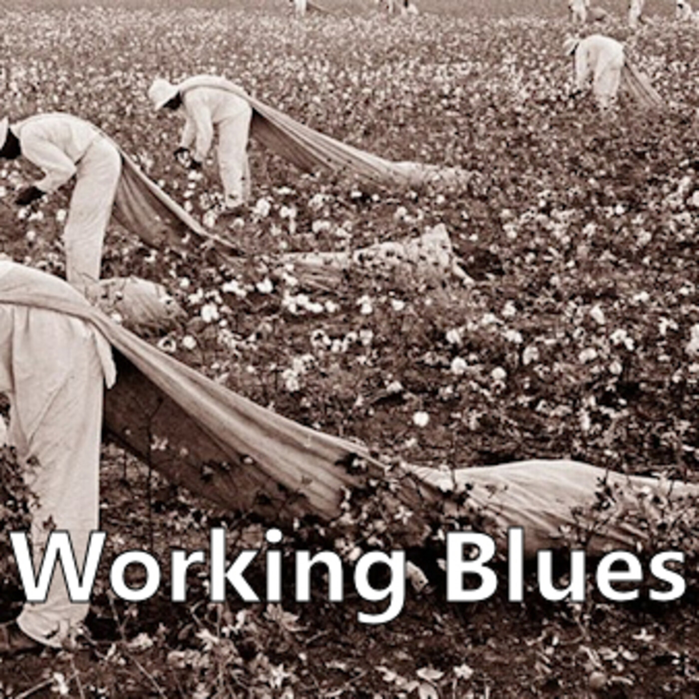 Los Podcasts de Blues & Monk