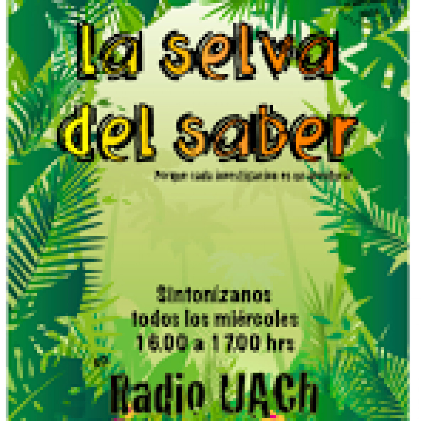 Radio UACh