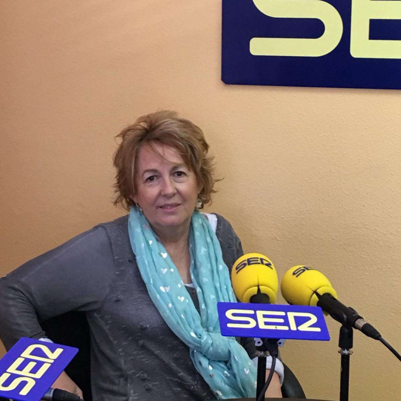 BALANCE DE UN AÑO DE GESTIÓN: CARMEN PÉREZ DEL MOLINO (Guadarrama) episode artwork