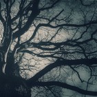 Sueños del Mundo Subterráneo: 'El Camino'