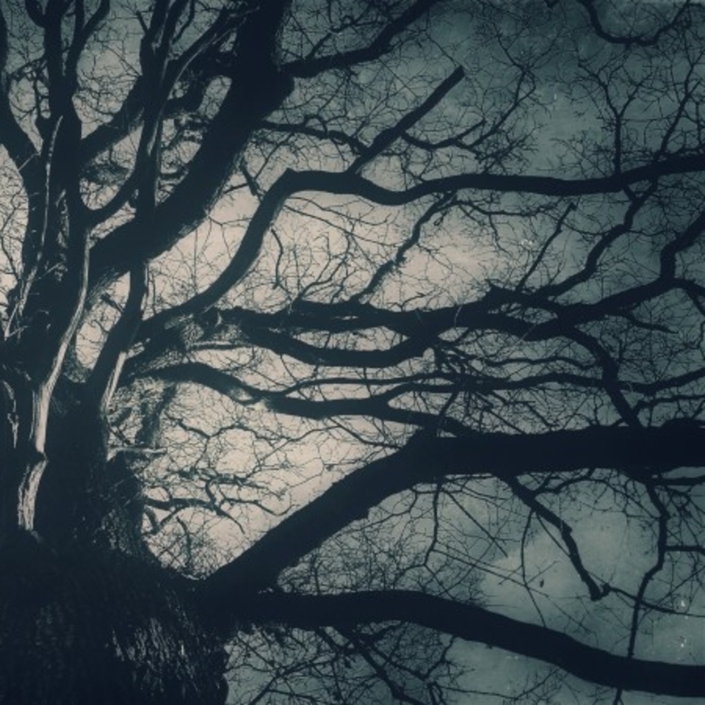 Sueños del Mundo Subterráneo: 'El Camino'