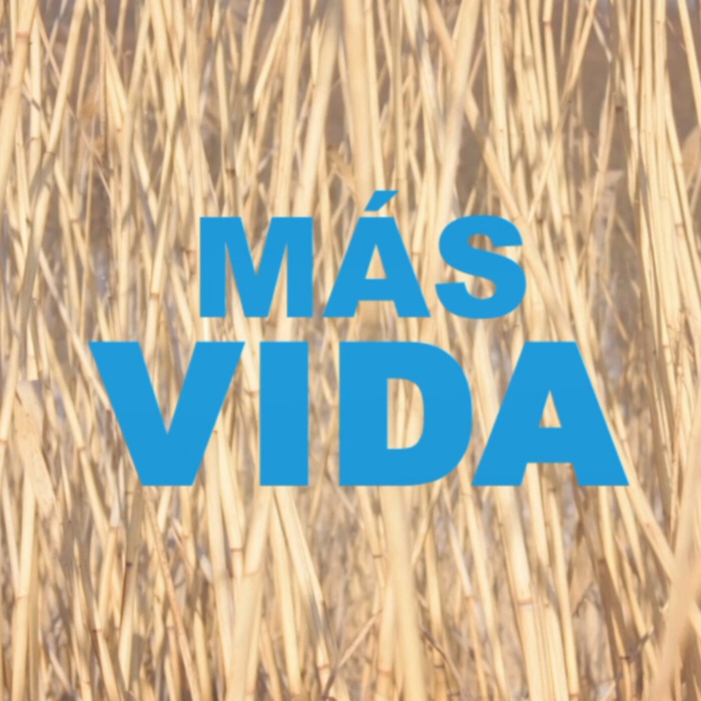 MÁS VIDA
