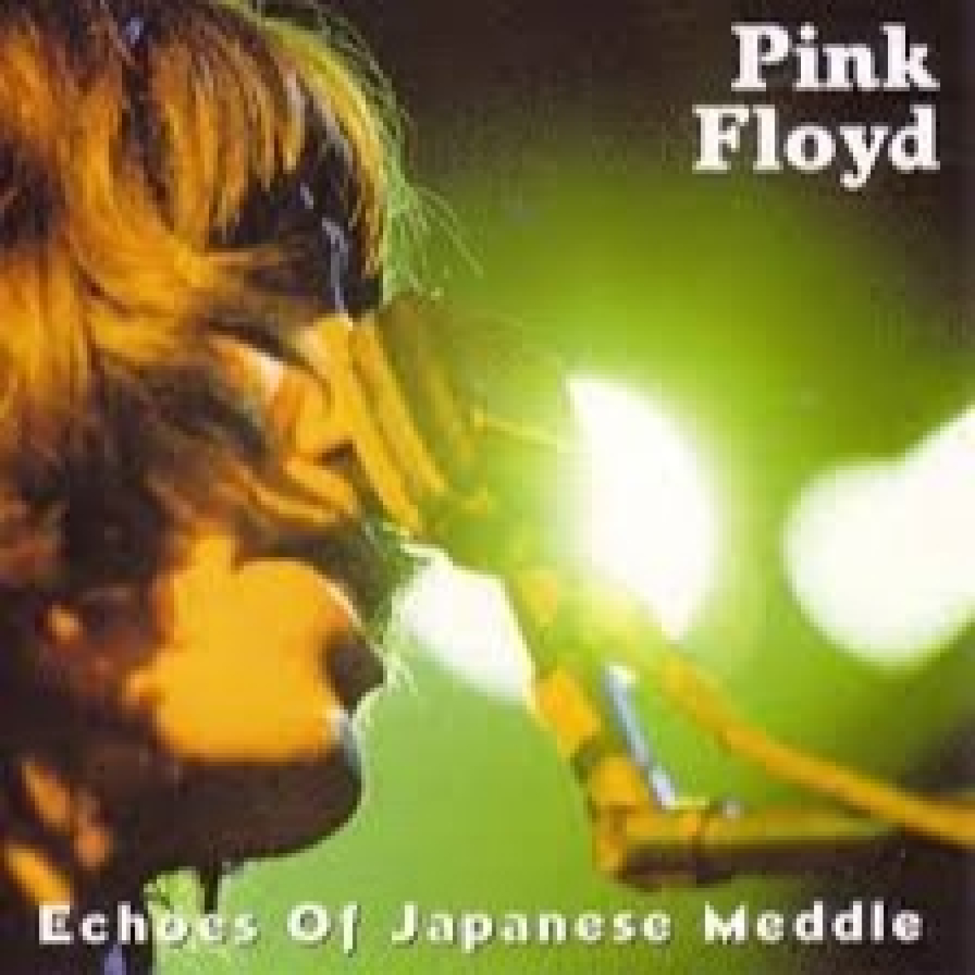 1227 - Pink Floyd _ Echoes Of Japanese Meddle episode artwork