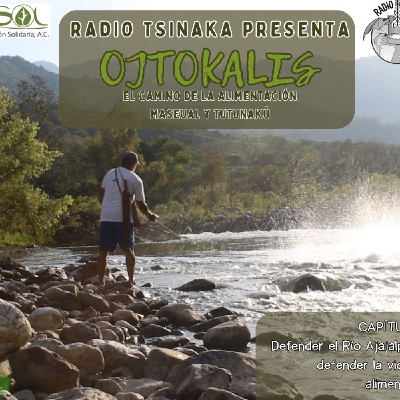 Radio Tsinaka Alimentación en el Río Ajajalpan
