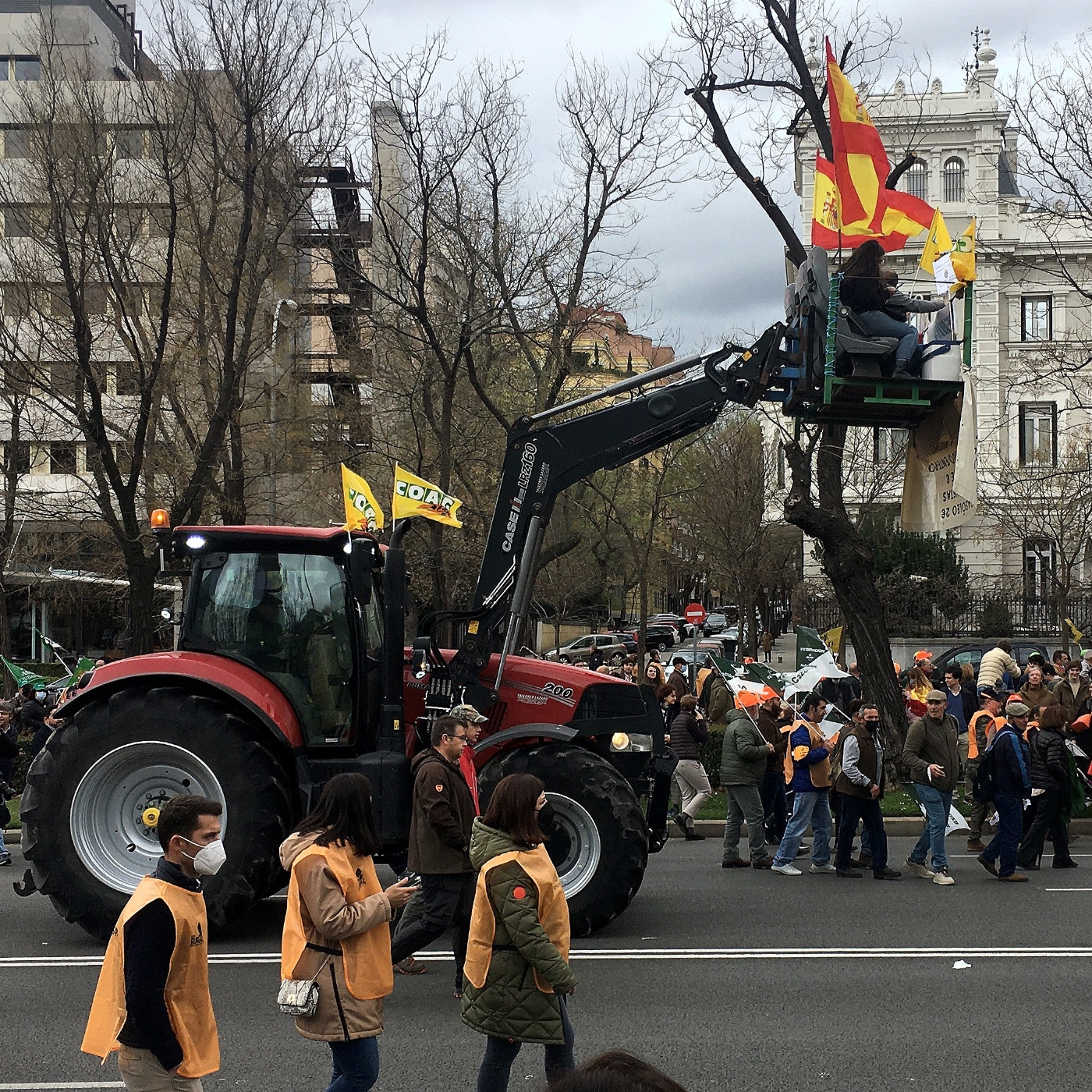 Diario de campo