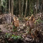 251. Trabajo en el Paleolítico: la jornada laboral del cazador-recolector (entrenamiento paleo IV)