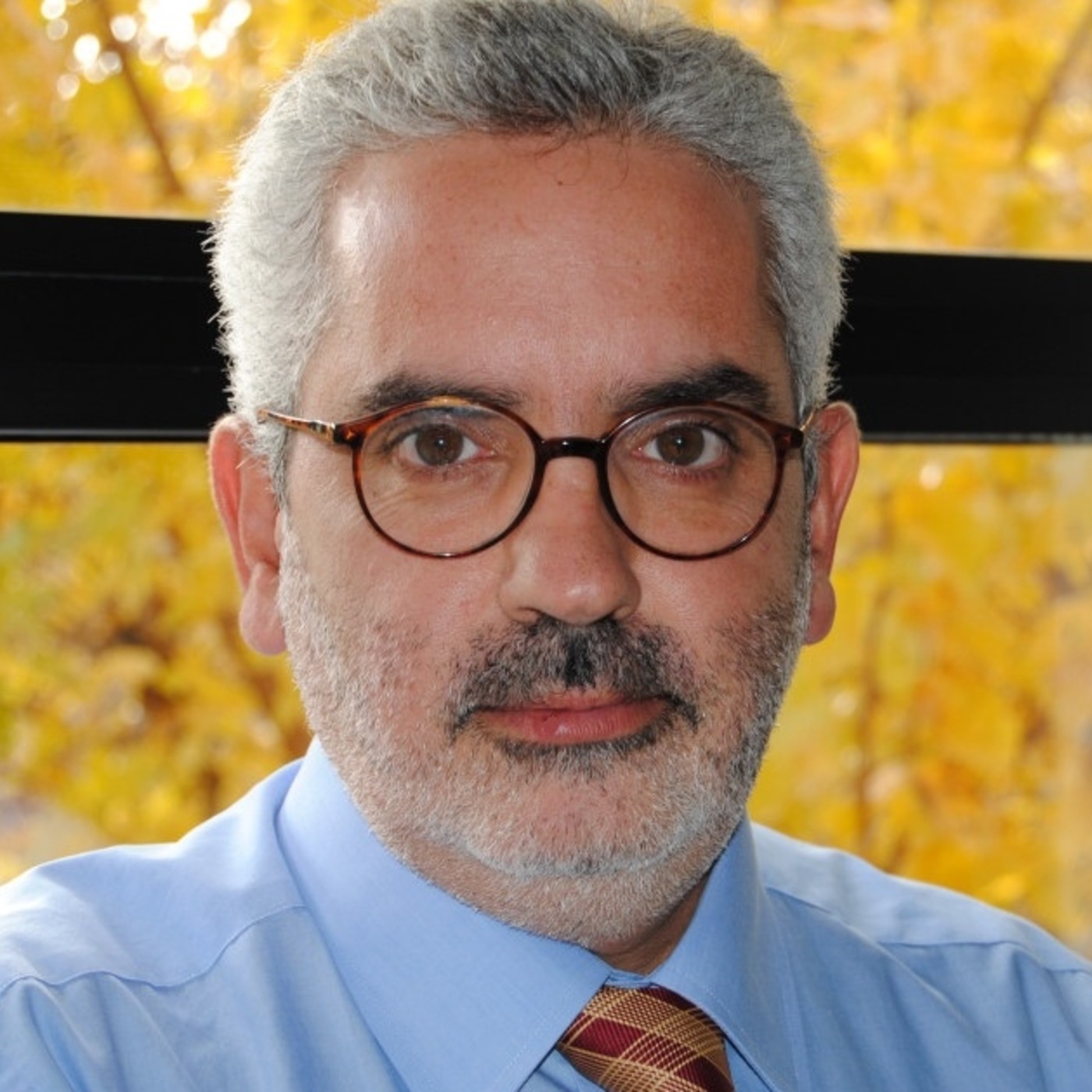 Estrategia Minerva