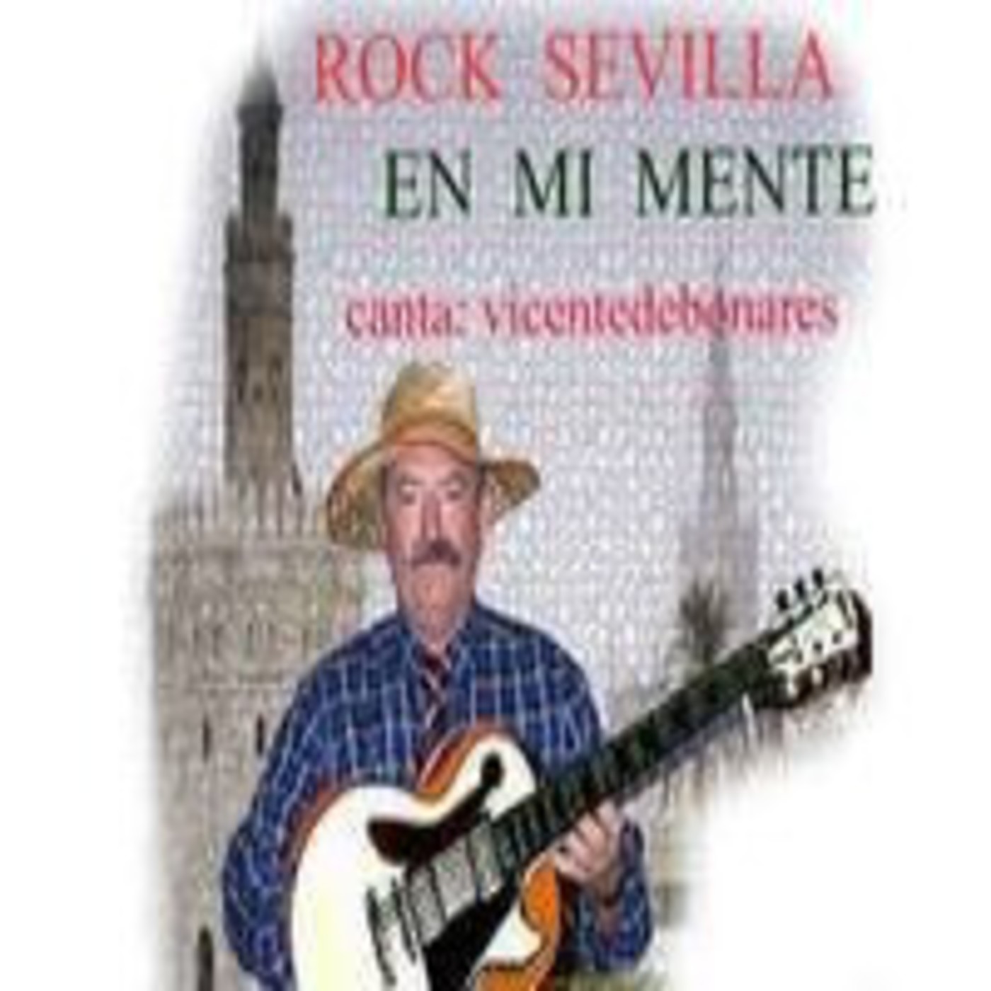 http://www.facebook.com/vicentedebonares