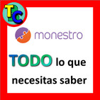 MONESTRO Opiniones y Review - Invertir en Préstamos P2P Estonia