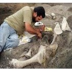 Fósiles de mamut