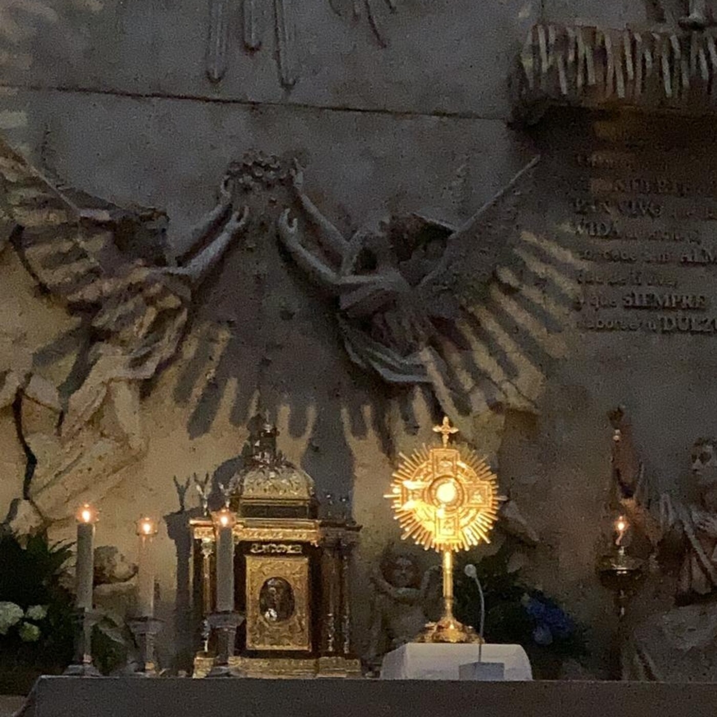 Meditaciones D. José María Marín