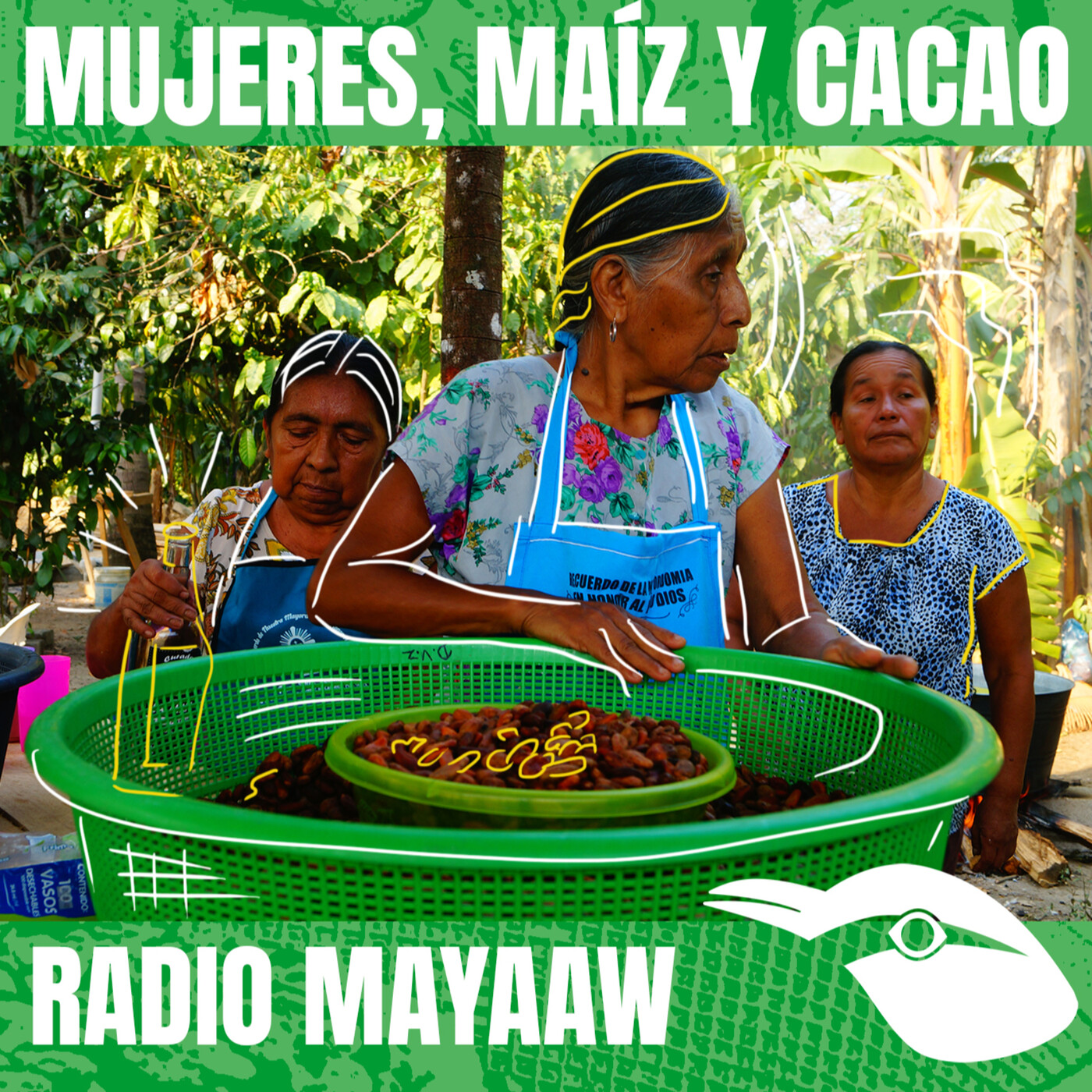 Fondo 2023. Mujeres, maíz y cacao - Radio Mayaaw episode artwork