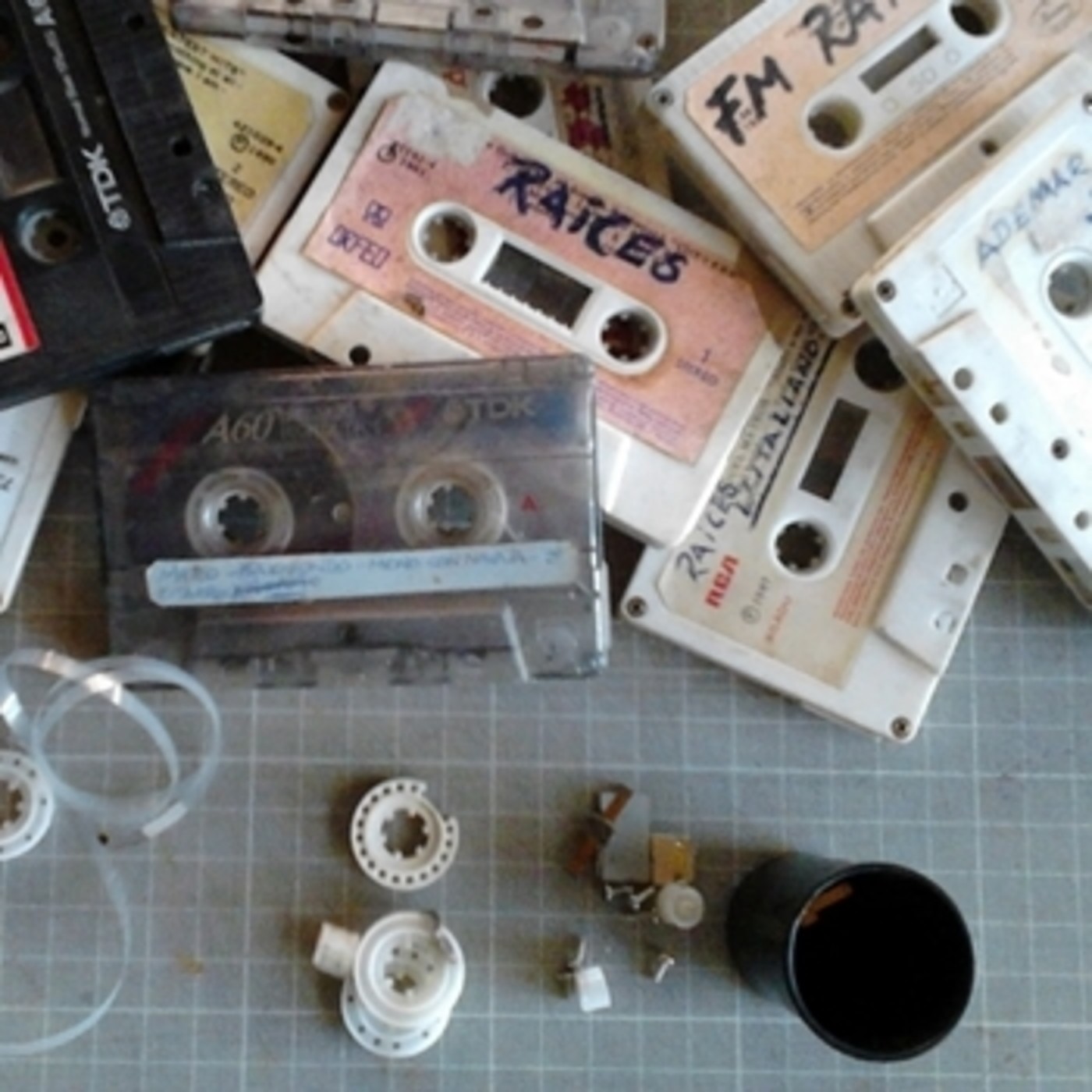 Archivo Terragni