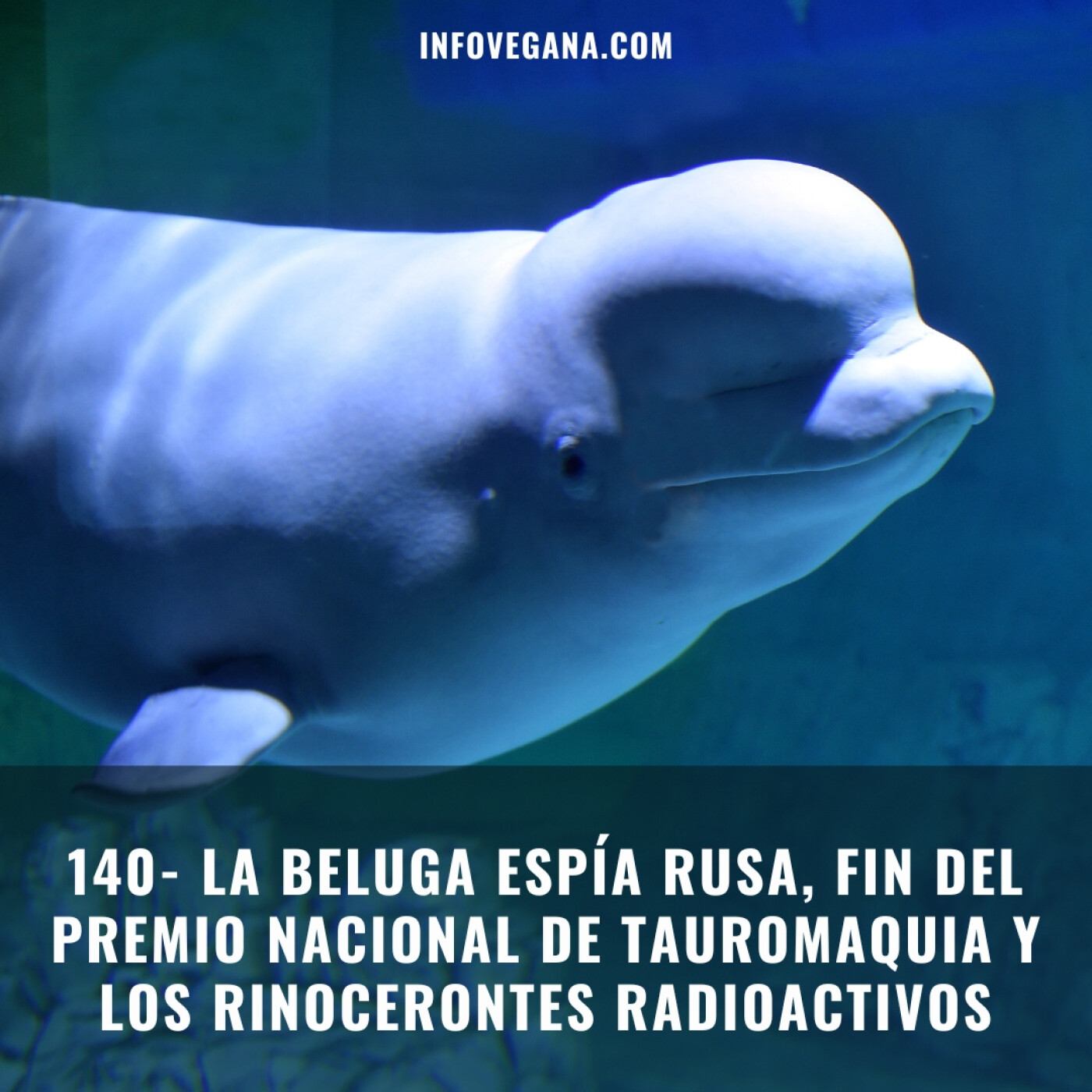 Infovegana, podcast de veganismo y sostenibilidad