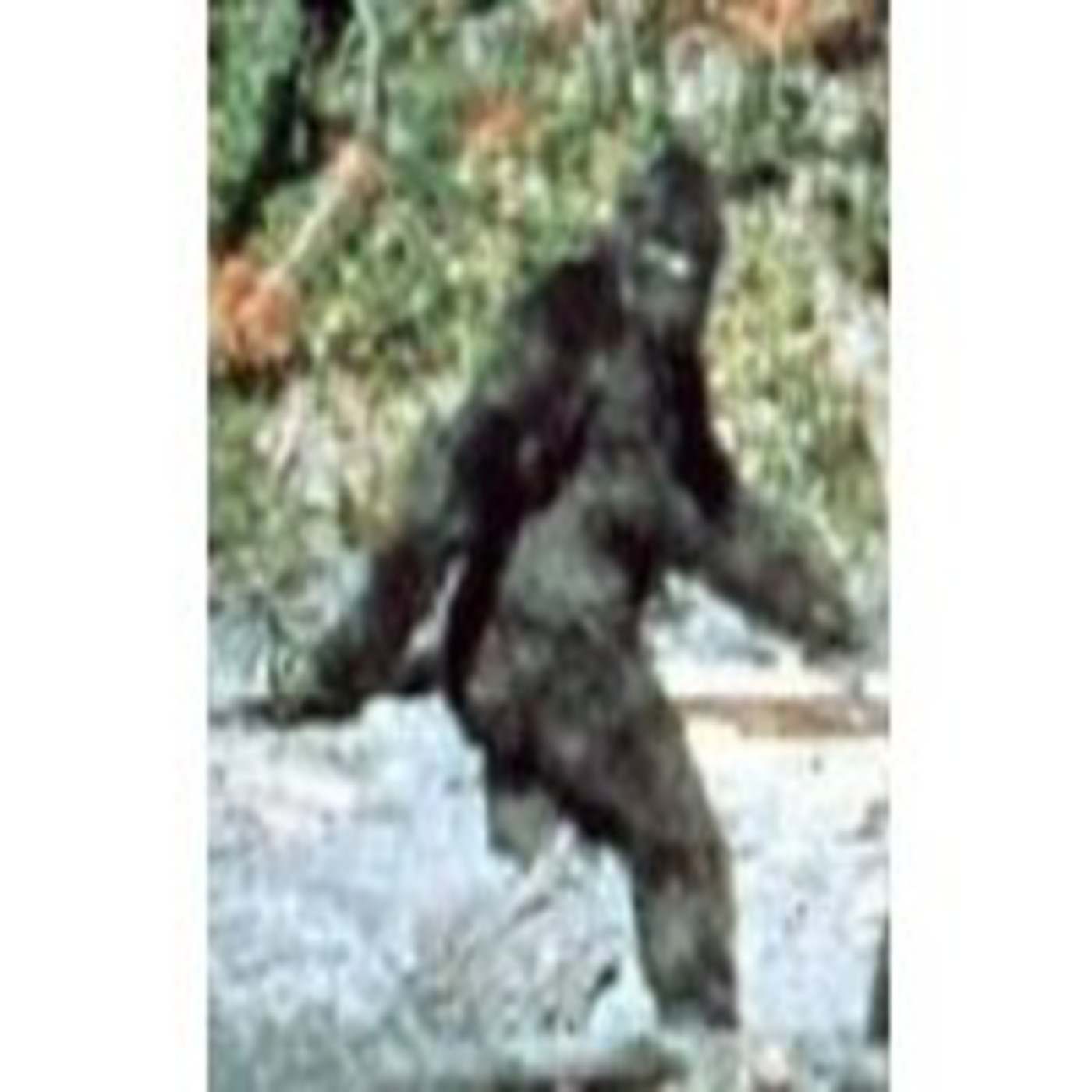 Criptozoologia. Criaturas misteriosas