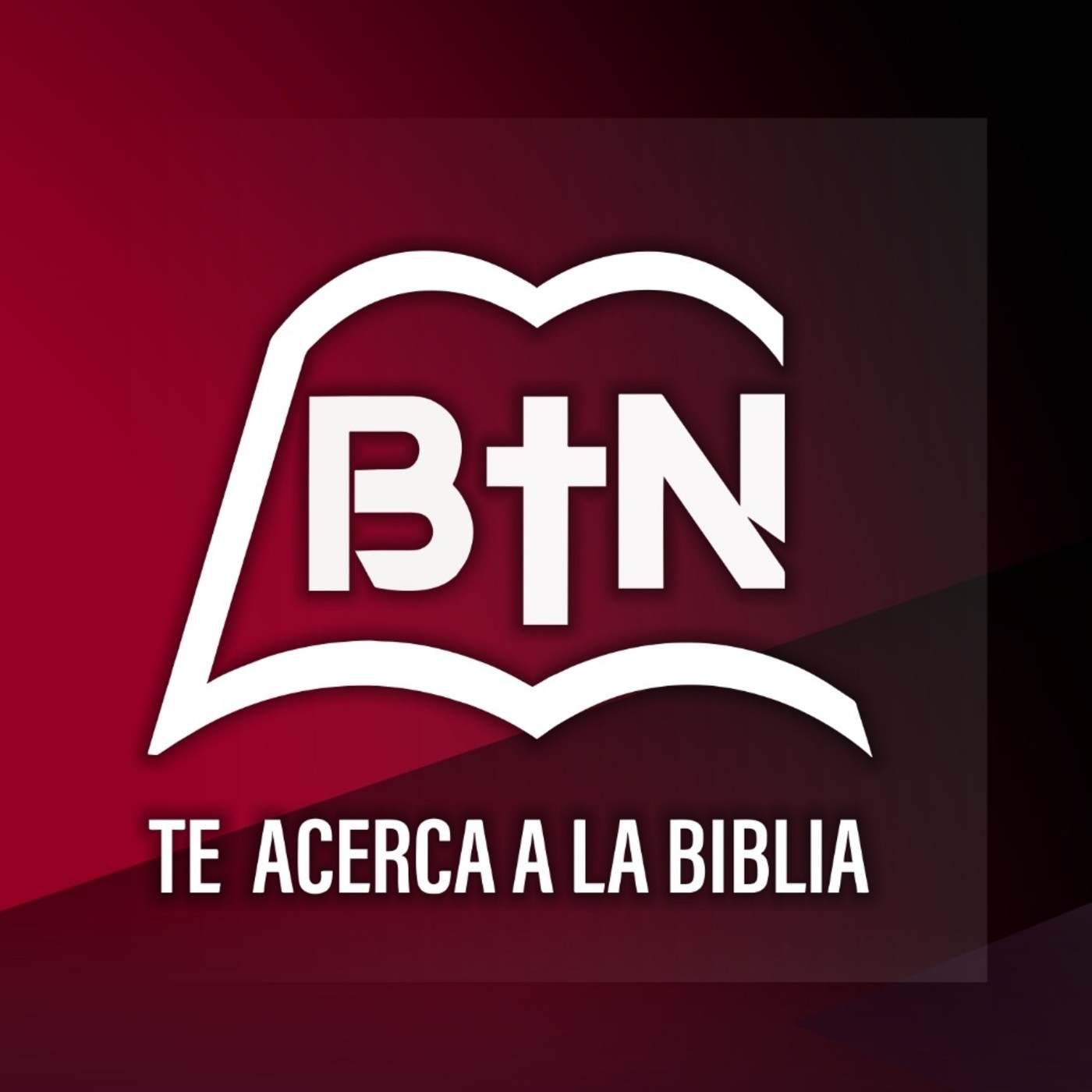 BTN TV