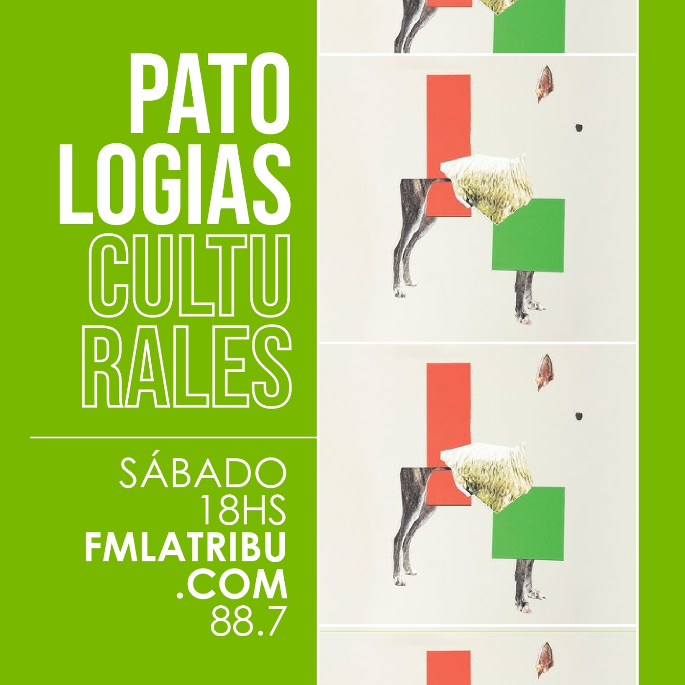 Patologías Culturales