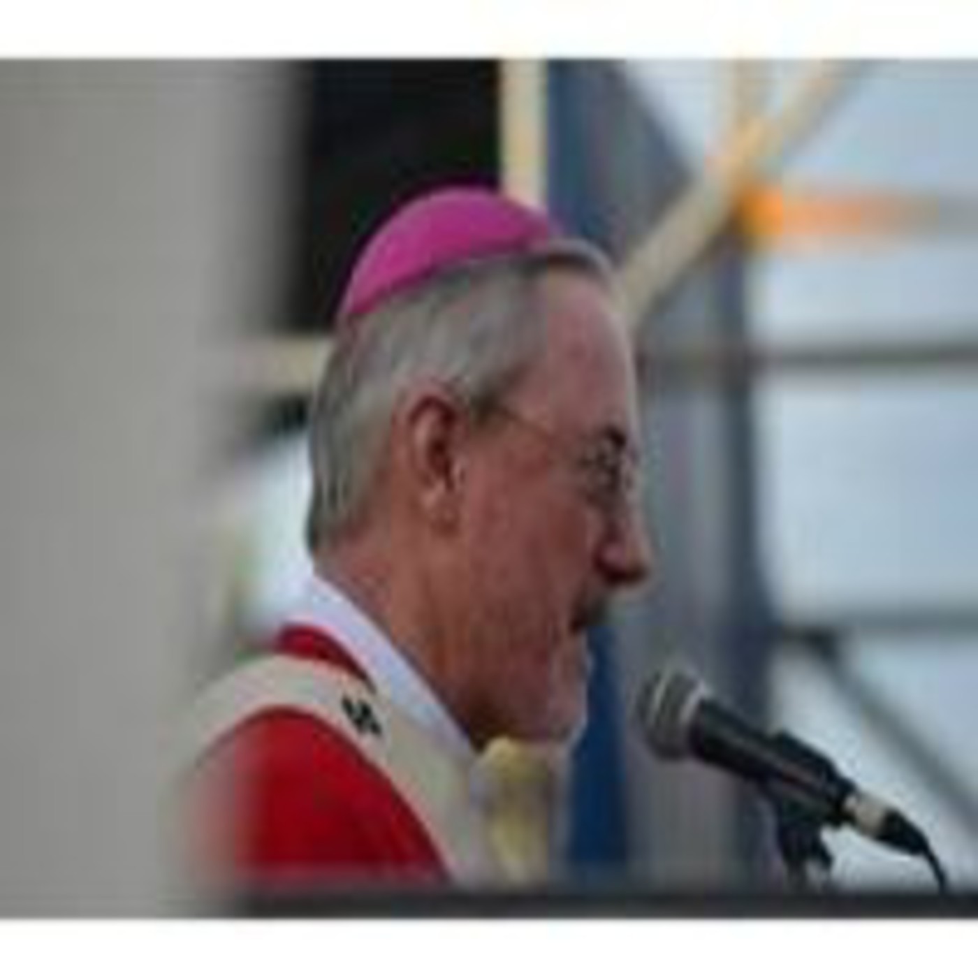 Novena y Fiesta 2014