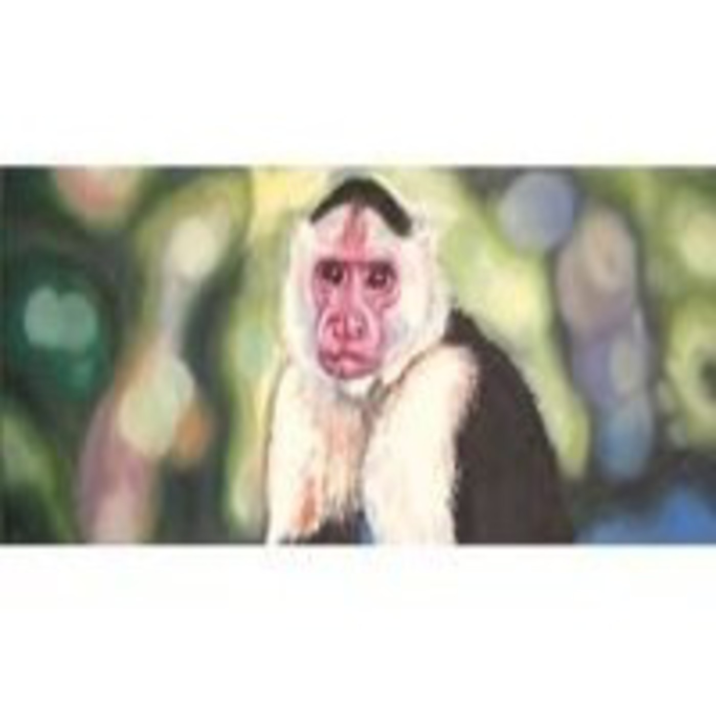 El Canto del Pájaro