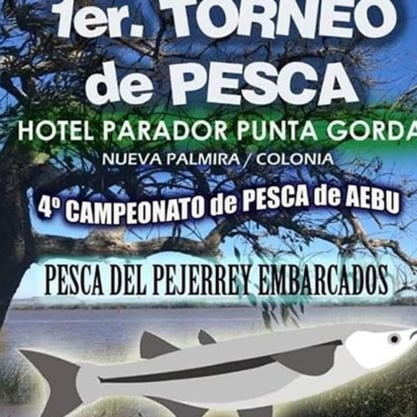 PUBLICIDADES