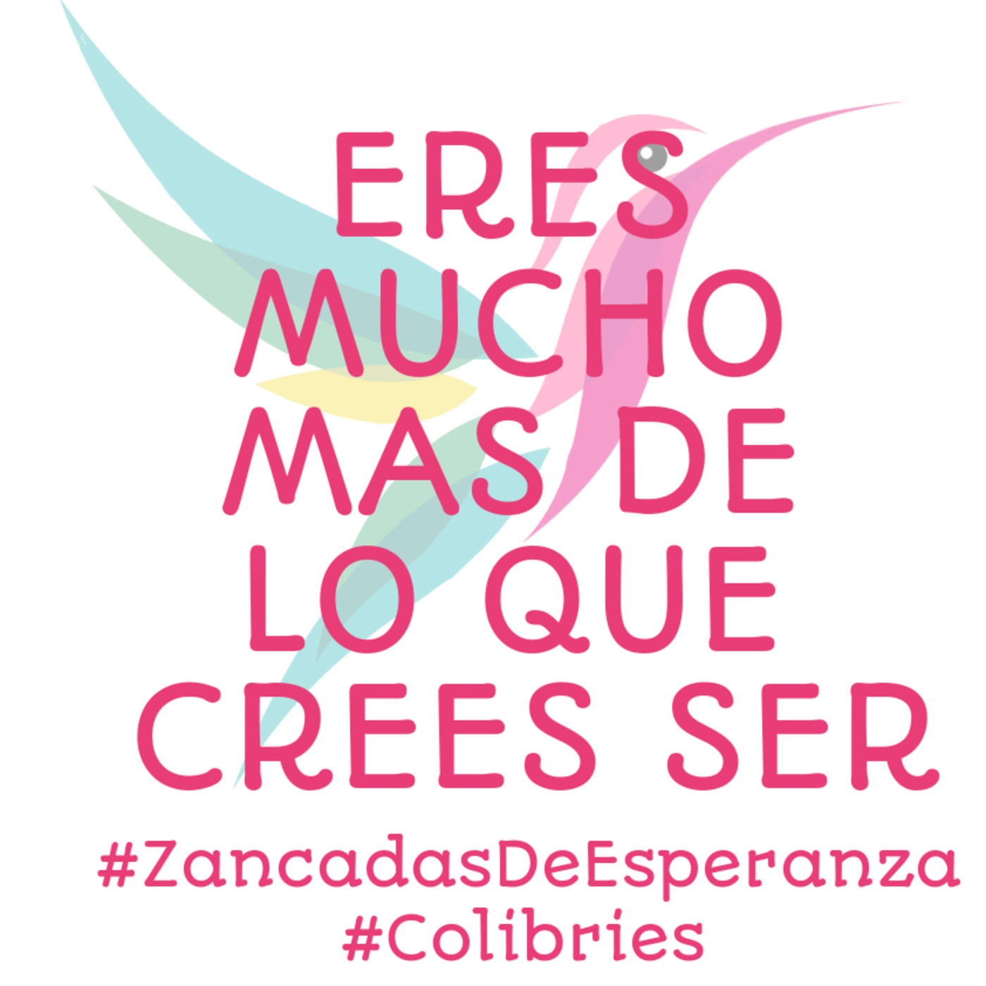 RADIO ZANCADAS