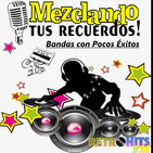 Mezclando tus Recuerdos: Bandas con Pocos Éxitos